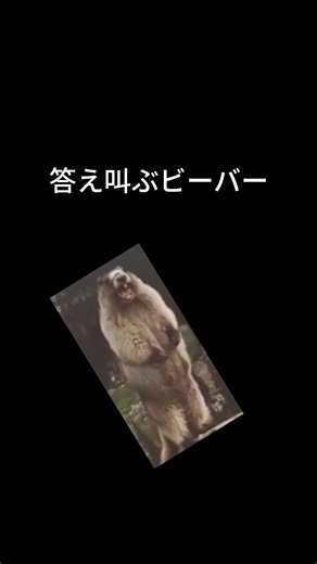 何と何？でしょう