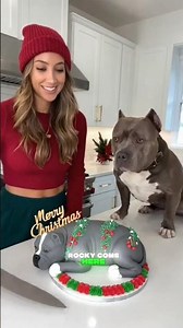 The Christmas Moment That Left This American Bully Confused and Frozen #dog #shortvideo