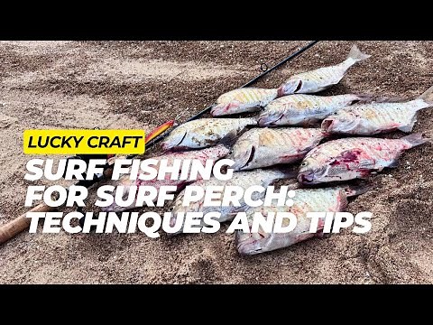 Surf Fishing Tips That Actually WORK for Massive Catches