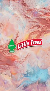 Siempre puedes buscar tu aroma favorito en Little Trees. 🌲 #littletrees #aroma #aromatizante #carro #productos #parati | Little Trees México