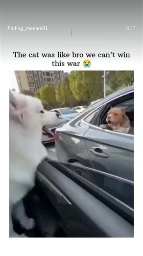 Jay styles (@jaystyles45)’s videos with original sound - Jay styles