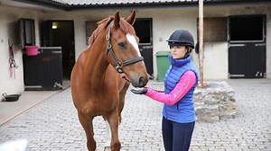 Selling a horse? How to work out the right price to attract your ideal buyers