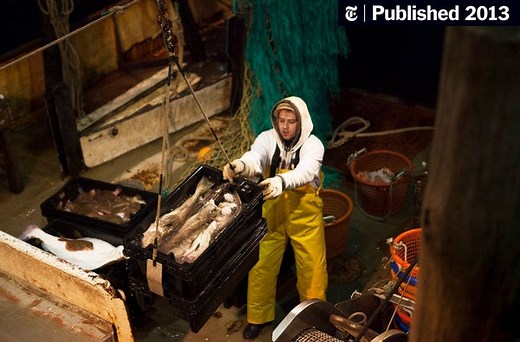 Officials Back Deep Cuts in Atlantic Cod Harvest to Save Industry