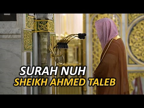 Imam of Masjid Nabawi | Sheikh Ahmed Taleb | Surah Nuh