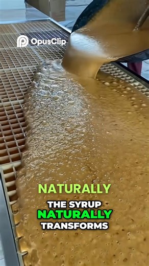 Sugarcane to Sugar: Crafting Sweet Treasure! #viralvideoシ #fbreelsfypシ゚viralfbreelsfypシ゚ #foryou | Maribel's Explorer'Vlog