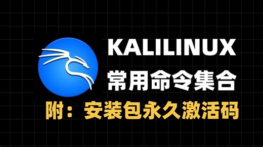 KALI Linux常用命令集合