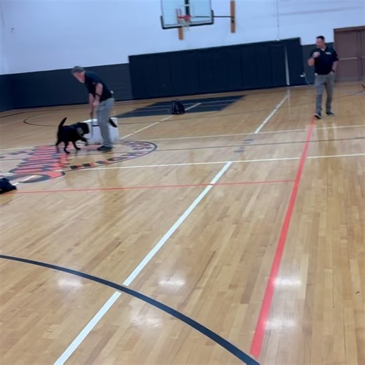 Idaho ICAC Task Force- Internet Crimes Against Children on Reels | Facebook