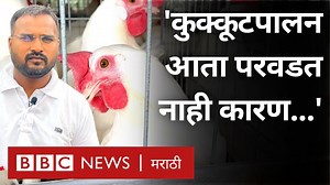 69K views · 1.5K reactions | 'कुक्कुटपालन व्यवसाय आता परवडत नाही कारण...'  | BBC News Marathi | Facebook