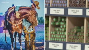 Sam Rayburn HS art students named Rodeo Grand Champions 6 out of last 8 years