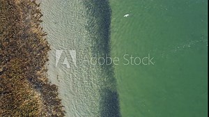 Drone footage of school of fish swimming along the shore with clear ocean waters