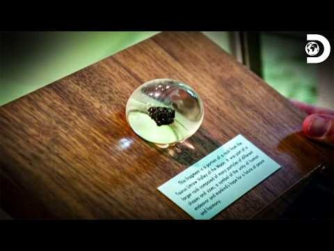 Mystery Object Invades ISS Crew | NASA's Unexplained Files S3 E8 | Discovery Channel India