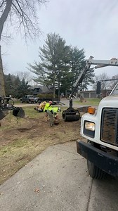 132K views · 405 reactions | Stump grinding  #stumpgrinding #stumpremoval #treeservice #arborist | Total Control Tree Service | Facebook