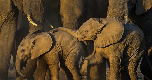 TO THE ENDS OF THE EARTH: The Natural World - Pushing Boundaries