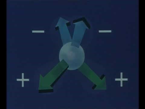 Physics and the Chemistry of Water