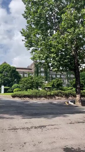 Exploring Yonsei University: A Dream Come True