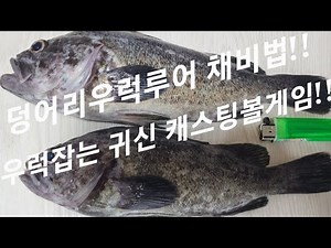 새만금 채비설명.우럭도 피딩타임 있다!! 느나타임 꿀팁!!