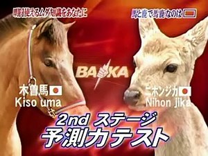 トリビアの種「馬と鹿で馬鹿なのは？？？」