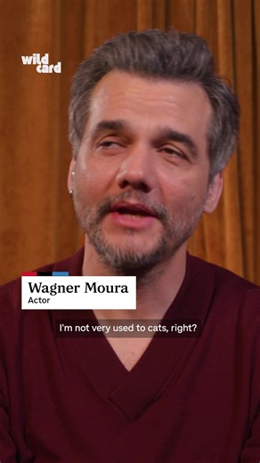 Wagner Moura considers the moment that brought him and his cat closer together. On this week’s Wild Card with Rachel Martin, he discusses getting better with age and his Oscar-nominated role in “The Secret Agent.” Watch the full interview at the link in bio. #NPR