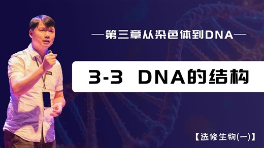 3-3 DNA的结构【选修生物(一)】