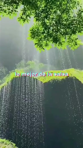 #video #musical #detodito #viral | salsas