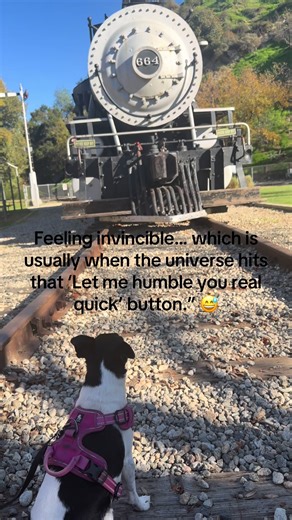 Feeling invincible… which is usually when the universe hits that ‘Let me humble you real quick’ button.😅 #F#FYPS#StayHumbledL#LifeBeLifeingR#RelatableAFComedyTok