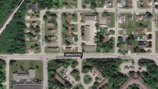 Fatal shooting in Alpena Township