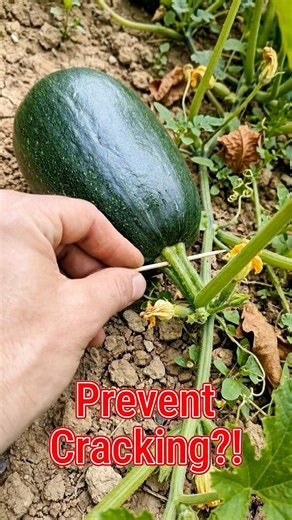 Wondering if the viral "toothpick trick" actually works? Here is what the science says!