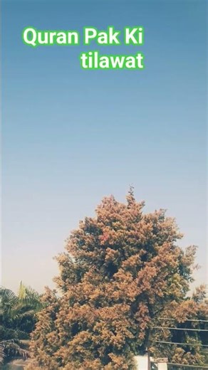 #Mashallah#Quran Pak Ki tilawat