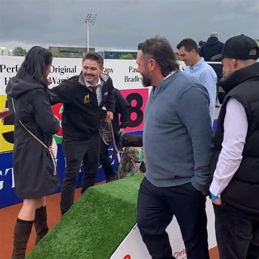 Amazing night at Addington - thanks Christchurch Greyhound Racing Club | Greyhound Racing New Zealand
