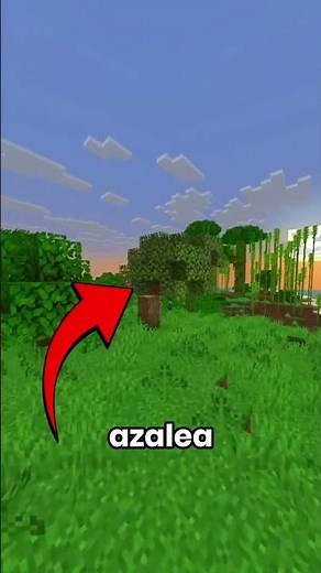 How To Find The New Sulfur Cave in Minecraft?