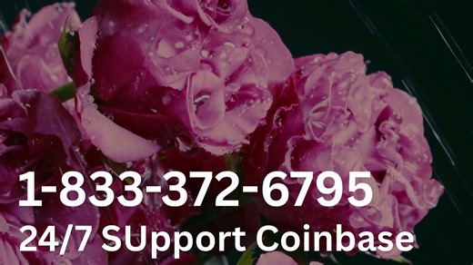 [[Coinbase®]] Customer Service | Official 24/7 Support Guide with Step-by-Step Instructions