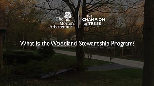 6.9K views · 151 reactions | Make every day Earth Day with the...