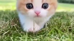 VID_20231212_210823_520.mp4