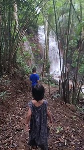 Juncle in forest #Waterfall