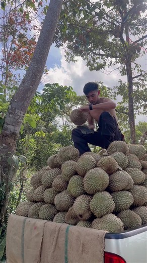 ไม่แข่งกับใครทั้งนั้น มีสวน มีการงาน มีอนาคต มีใบปริญญา .💸😝