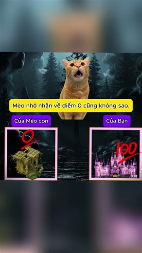 Dừng lại mèo con xin tặng cho bạn những thứ tốt đẹp nhất #shortvideo #memes