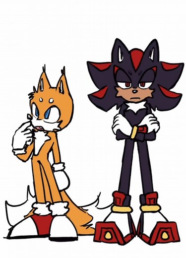 Sonic and Shadow: Confidence Unleashed