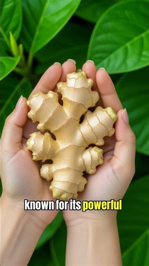 Herbal Syrup Recipe to Strengthen Immunity