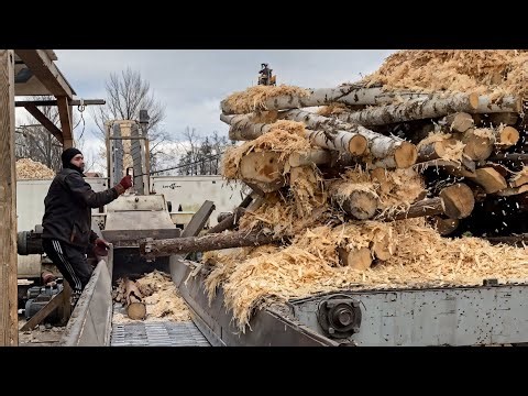 Shredder vs Log Mountain — Wood Chips Breakdown | New Season.