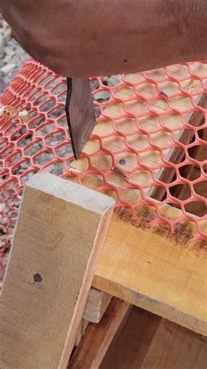 After installing the net in the chicken coop, I cut off the excess net.#woodworking #plasticnetcut