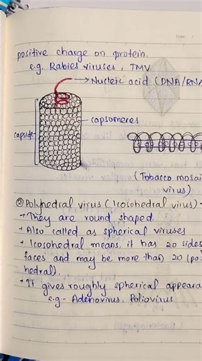 Classification of viruses with hand written notes