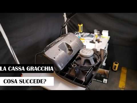 Questa cassa GRACCHIA - andiamo dentro le Behringer B215D