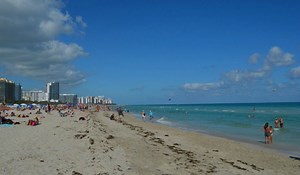 Local's Guide to Miami Neighborhoods, Miami, Florida