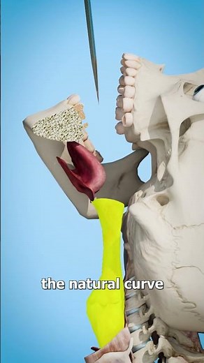 How Do Magicians Swallow Swords?🗡️