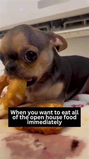 When you want to eat all of the open house food immediately #realestate #realestatememe #realestatehumor #meme #humor