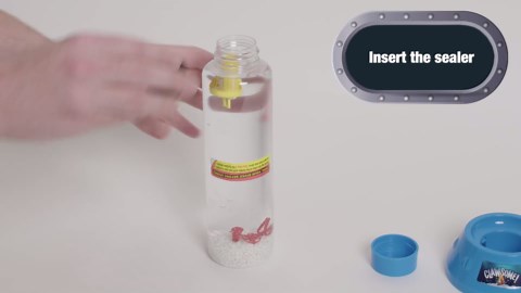 CLAWSOME! Treasure Diver Handheld Water Game | Retro Mini Sea Diving STEM Toys for Adults, Girls & Boys Ages 6-12