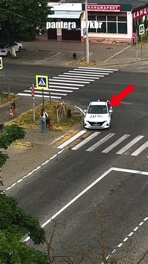 You'll never see something like this: the traffic police arrived on time and exactly when the per...