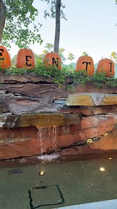 17K views · 823 reactions | Another fun Disneyland Halloween display at Downtown Disney is Pluto holding the ‘M’ pumpkin in ‘Halloween Time’. You can then see the pumpkins spelling out all the letters except for this one! #disneyland #disneylandresort #halloweentime #dlr #disneyhalloween #pluto #disneycharacters #downtowndisney #disneylandhalloween | Mousesteps | Facebook