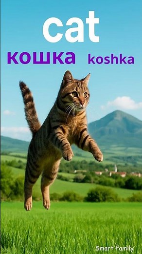 What’s a “кошка”? Real Russian animal words 🐱 #shorts