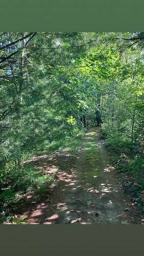 Martine Deschambault on Reels